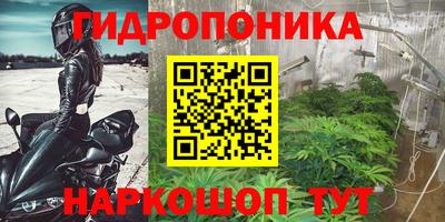 бошки Кинель
