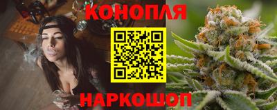 амф Кингисепп
