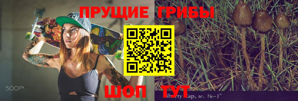 Галлюциногенные грибы MAGIC MUSHROOMS  где продают наркотики  Конаково  Вход с VPN 
